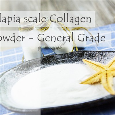 Tilapia Scale Collagen Powder - General Grade