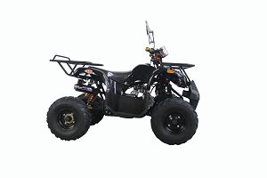 50-110cc ATV Off Road Using For Adults And Kids Enjoyment