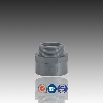 NPT Type CPVC Male Coupling Adaptor, Pipe Fittings