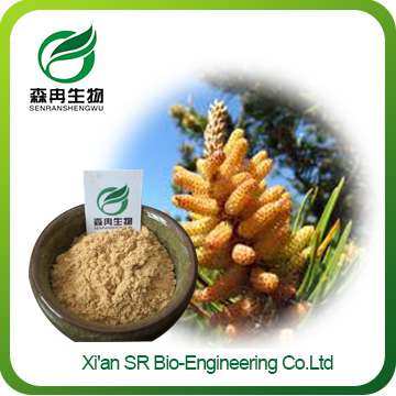 Pine Pollen Extract Powder,Factory Supply Organic Pine Pollen Powder,Wholesale Raw Pine Pollen Powder