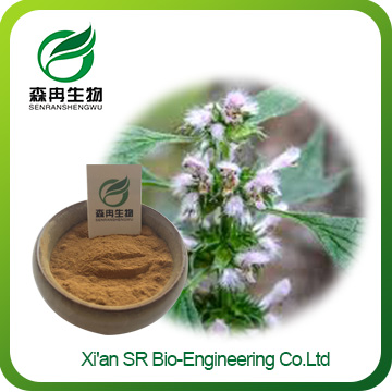 Motherwort Extract,Factory Supply High Quality Motherwort Powder,Motherwort For Anxiety