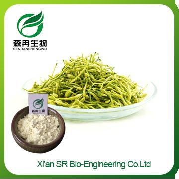 Honeysuckle Extract,Pure Natural Factory Supply Honeysuckle Powder,High Quality Honeysuckle Flavor Extract