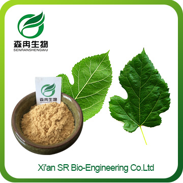 Mulberry Leaf Extract,Factory Supply High Quality Mulberry Leaf Extract Powder,mulberry Leaf Extract Weight Loss