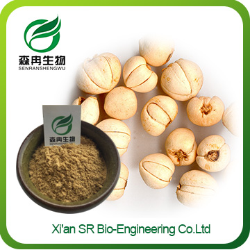 Fritillary Extract,High Quality Fritillary Bulb Extract,Wholesale Chuan Bei Powder