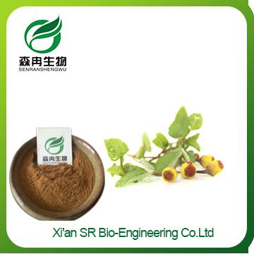 Acmella oleracea Extract,Factory Supply Organic Spilanthes Acmella Extract,High Quality Spilanthes Acmella Extract