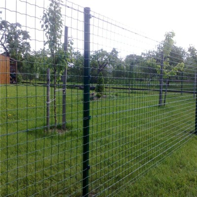 50x50 Mesh Euro Fence