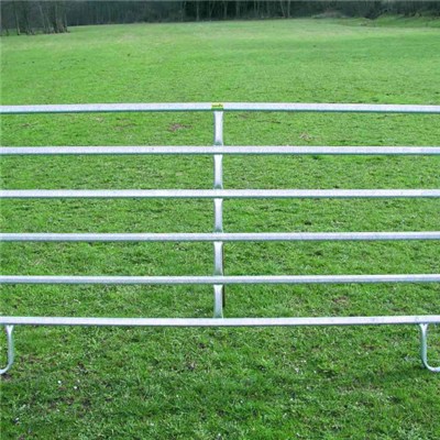 Steel Horse Fence