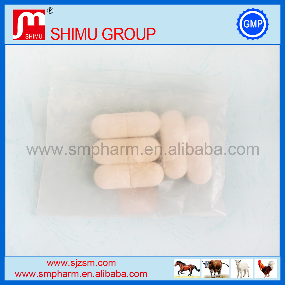 Praziquantel tablets drugs veterinary medicines/og supplement for dog worm