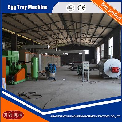 Factory Price Paper Egg Tray/Egg Carton/Fruit Tray Making Machine with High Quality