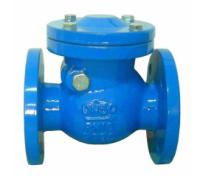DIN 3202 EN 558-1 cast iron flange type swing check valve