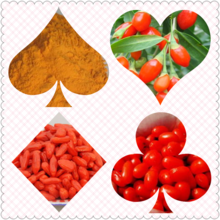Best Price 100% Natural Goji Berry Extract With High Quality.