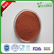 80 Mesh 100% Natural Grape Seed Extract OPC 95%