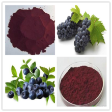 Best quality lowest price Skin Antioxidant 100% Natural Blueberry Extract Anthocyanins