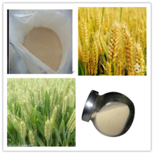 Supply 100% Natural Wheat Peptide,Wheat Peptides For Anti-aging and Providing Energy