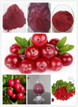 High Quality Anti-aging Pure Natural Cranberry Extract Powder