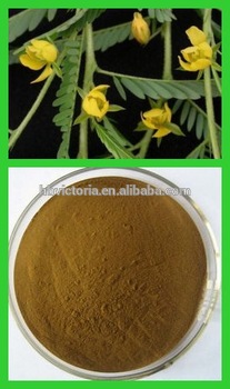 Pharmaceutical and Food grade Pure Natural Cassia Nomame, Flavanol Extract Powder