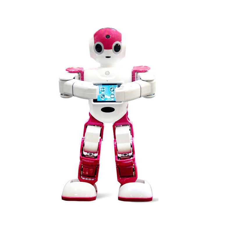 Interactive Robot Remote Controlled Humanoid Robot 3D Programmable Robot Toy Servo Acuator