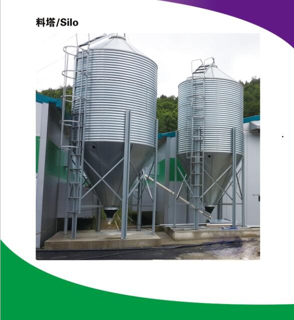 poultry farm feed hot galvanized sheet silo