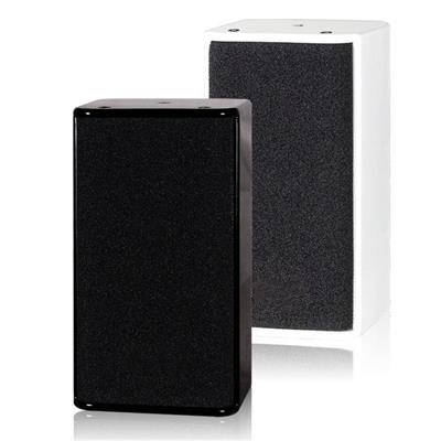 CO Dual 5 Inch Conference Room Speaker