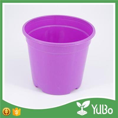 10cm Purple Nursery Spring Plant Flower Pot