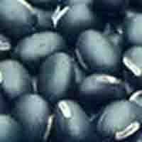 Black soybean hull extract (Black bean peel extract)