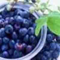 Sweetberry Anthocyanin