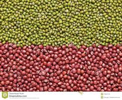 GREEN MUNG BEANS FOR SPROUTING
