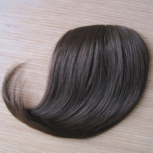 Soft Smooth Cheap wholesale 100% human hair bang