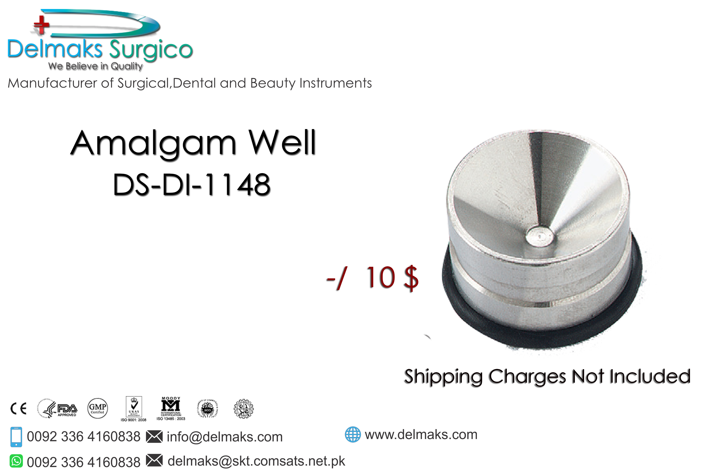 Amalgam Well-Restorative Instruments-Dental Instruments-Delmaks Surgico