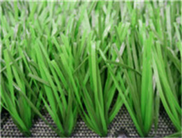 Sports Grass Football-WF-B-312000