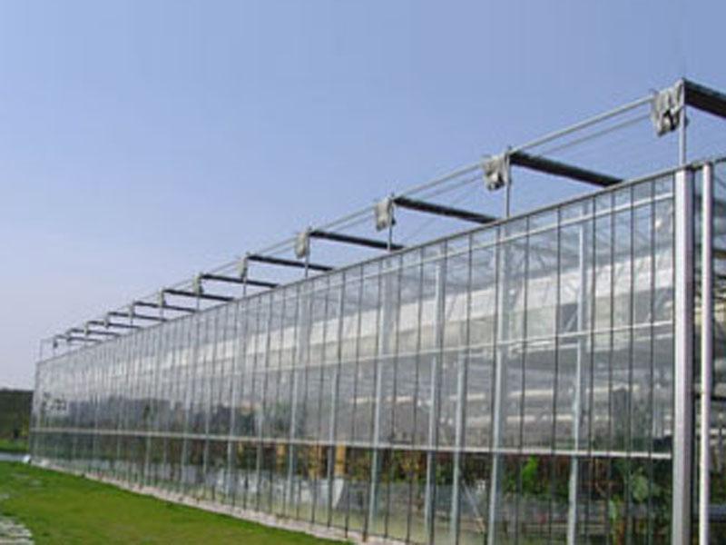 Glass Multi-Span Greenhouse