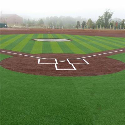 Sports Artificial Grass For Baseball
