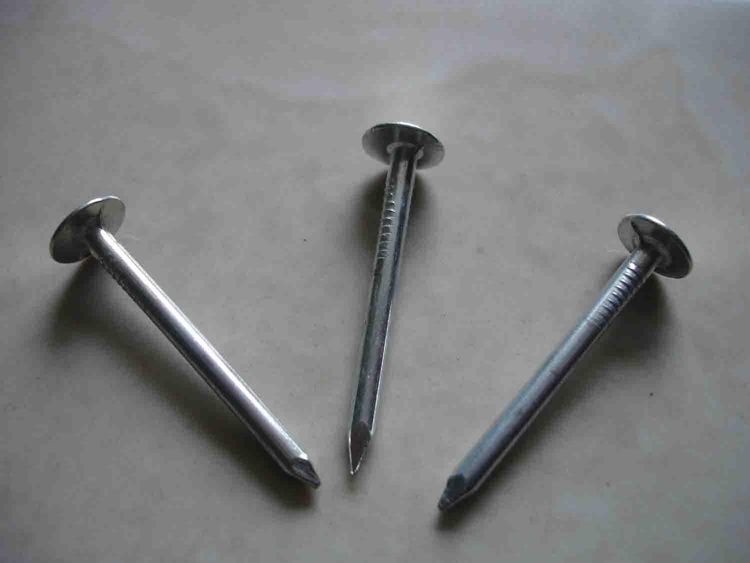 Stainless Steel Nail Hardened stainless steel concrete nails