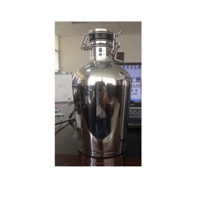 2.0 L Stainless Steel Insulated Beer Growler