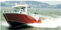 Speed Fast Aluminum Alloy Boat Fishing Boat in Big Sea
