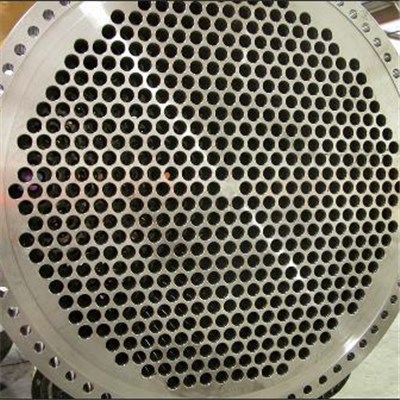 Excellent Tube Sheets TubeSheets Forged Dics