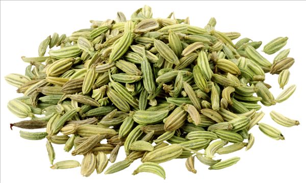 Fennel Seed Extract 