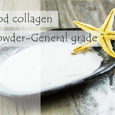 Fish Collagen Cod Collagen Powder-General Grade