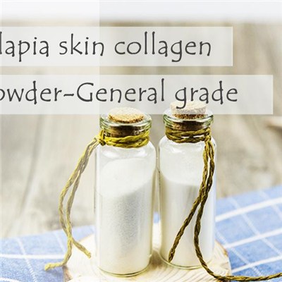 Fish Collagen Tilapia Skin Collagen Powder-Premium Grade