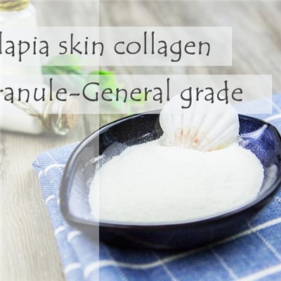 Fish Collagen Tilapia Skin Collagen Granule-General Grade