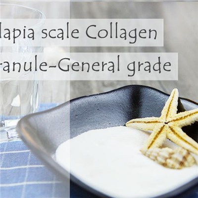 Fish Collagen Tilapia Scale Collagen Granule-General Grade