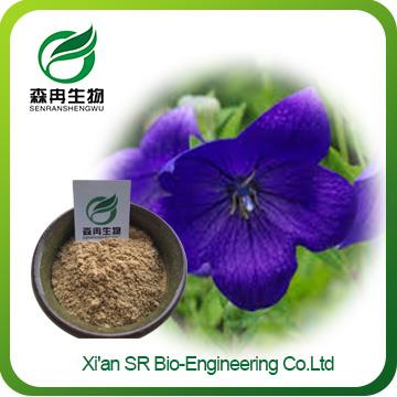 Bellflower Extract ,Factory Supply High Quality Platycodon Extract,Wholesale Balloon Flower Root Extract