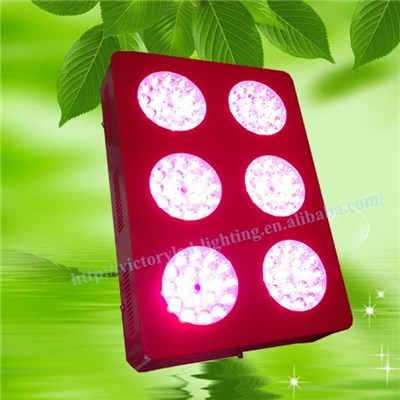 LED Growing Lamps