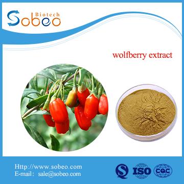 High Quality Natural Organic Goji Berry Powder Wolfberry Extract Powder