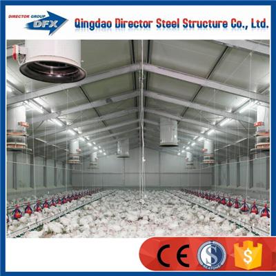 Automated Poultry Farm Metal Chicken House Poultry Farming Layers