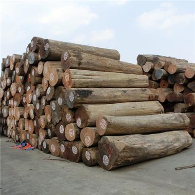 Manufacturers Direct Sales Wholesale Timber Oil Content High Durable Authentic Teak Wood Logs