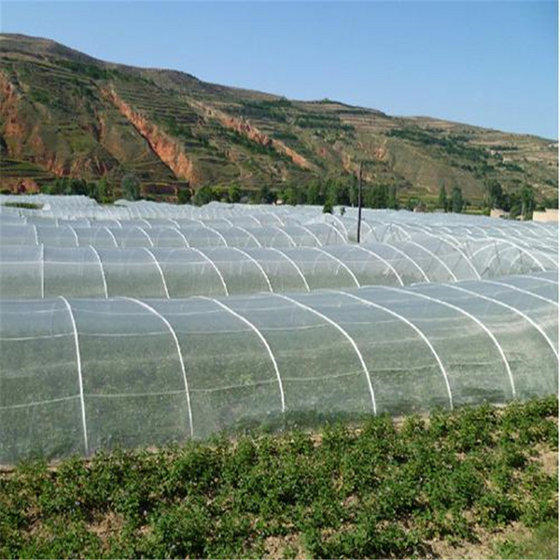 Special Anti Hail Net Farm