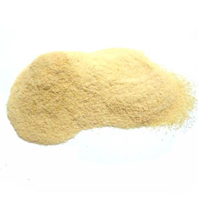 Loquat Powder / Loquat Fruit Extract Powder