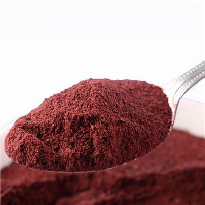 Blackcurrants Powder / Black Currant Extract Powder