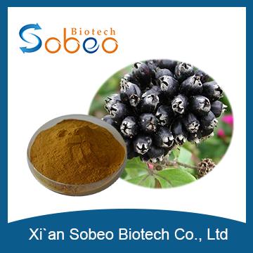 Siberian Ginseng Extract ,High Quality Siberian Ginseng Root Extract /Siberian Ginseng Dry Extract Manufacturer